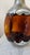 A distinctive vintage Dutch decanter by Royal Holland Daalderop, combining warm amber glass with sculptural pewter mounts....