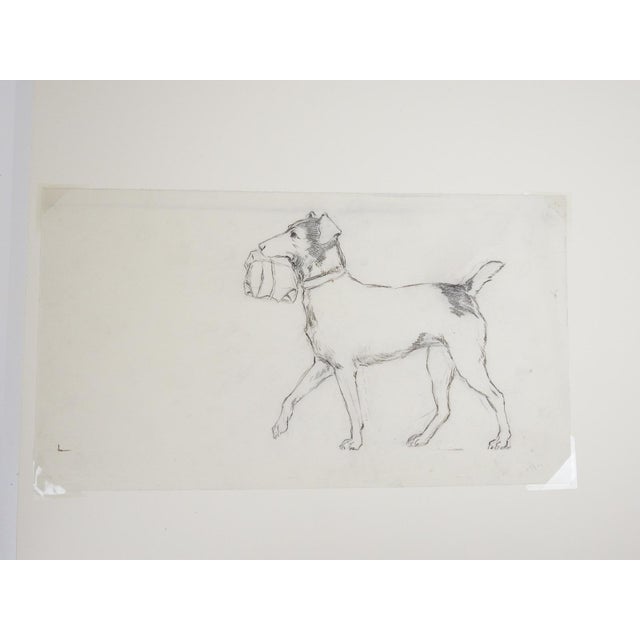 Illustration Vintage Drawing of Dog Carrying Package For Sale - Image 3 of 3