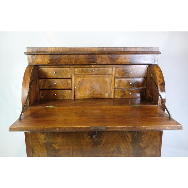Chatol with Four Drawers in Hand Polished Mahogany, 1820s For Sale - Image 13 of 18