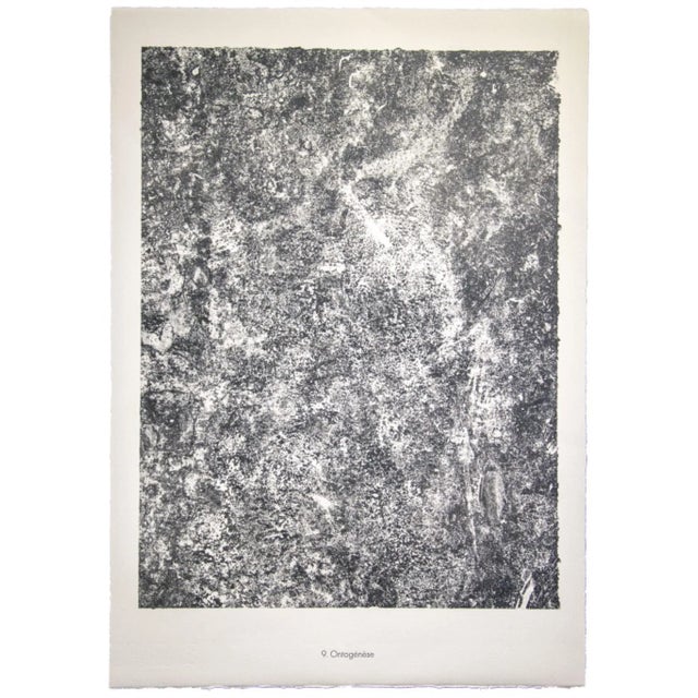 Ontogenese is an original lithograph. Abstract composition by the French artist Jean Dubuffet. From the album ''Sols...