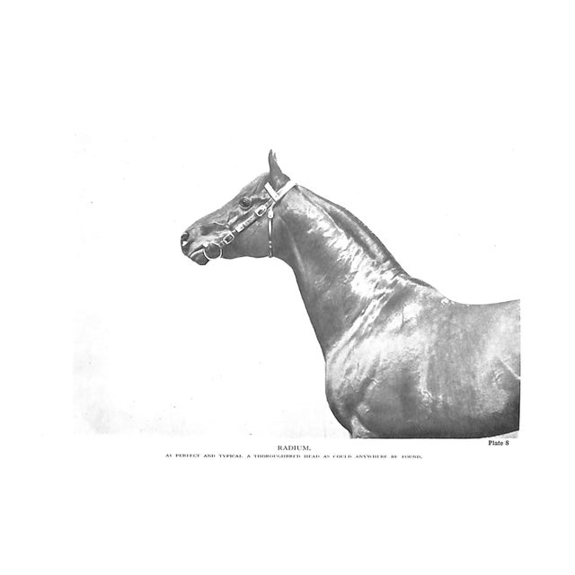 "The Lonsdale Library: Flat Racing" 1948 the Rt. Hon. The Earl of Harewood, K. G. & Lt.-Col. P. E. Ricketts, d.s.o., m.v.o. For Sale - Image 4 of 10