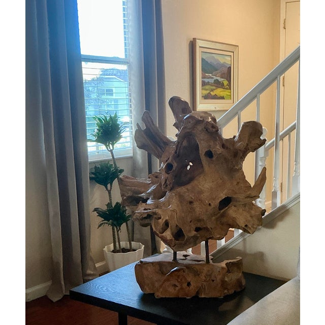 Organic Cyprus Root Sculpture - One of a Kind Statement Piece! For Sale - Image 10 of 12