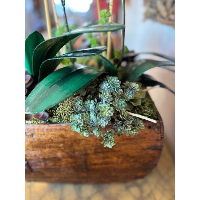 2020s White Orchid Succulent Moss Faux Plant Arrangement For Sale - Image 5 of 9