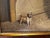 This painting features a classic horse and dog pairing! A chestnut horse stands guard over a small long-haired dog. In the...