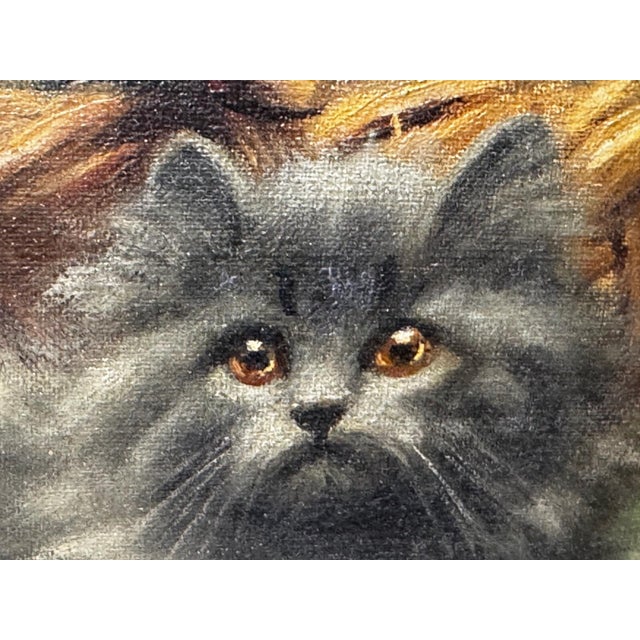 British Persian Cat Oil Painting by Agnes Augusta Talboys Rwa With Decorative Tea Service For Sale - Image 12 of 18