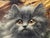 British Persian Cat Oil Painting by Agnes Augusta Talboys Rwa With Decorative Tea Service For Sale - Image 12 of 18