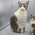 Vintage (2) Ns Gustin Ceramic Hand Painted Cats Statues a Pair For Sale - Image 4 of 11