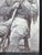 Francisco Vital "Lone Coyote' McGraw" Contemporary Black and White Pixelated Cowboy Portrait, 2025 For Sale In Houston - Image 6 of 10