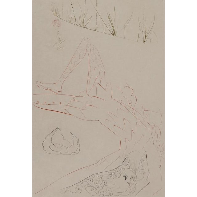 Salvador Dali, Wounded Tristan, Engraving For Sale - Image 4 of 10