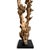 2020s Organic Gamal Wood Tree Sculpture on Stand For Sale - Image 5 of 6