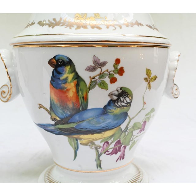 French Sevres Porcelain Lidded Pots with Parrots, Set of 2 For Sale - Image 4 of 9
