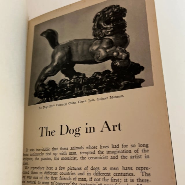 1950s the Dog in Nature, History and Art Book For Sale - Image 9 of 12