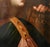 Italian School, Portrait of Cumaean Sibyl, 17th Century, Oil on Canvas, Framed For Sale - Image 11 of 14