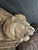 Ceramic Antique Terra Cotta Brick - Roaring Lion Head For Sale - Image 7 of 10