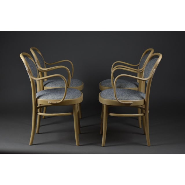 1970s Midcentury Modern Dining Bentwood Chairs from Gemla Möbler, 1970s, Set of 4 For Sale - Image 5 of 17