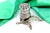 Silver Silver Toothpick Holder with Cut-Out Leaf Applications For Sale - Image 8 of 9