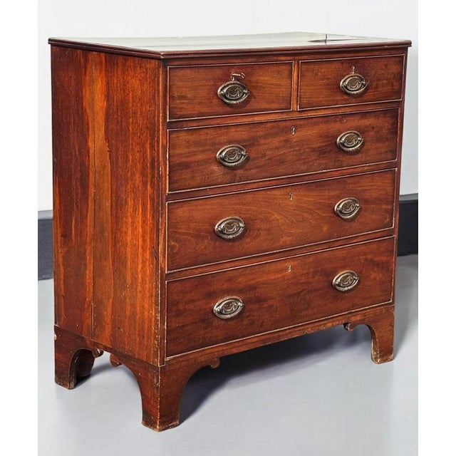 Georgian Mahogany Chest of Drawers For Sale - Image 9 of 14