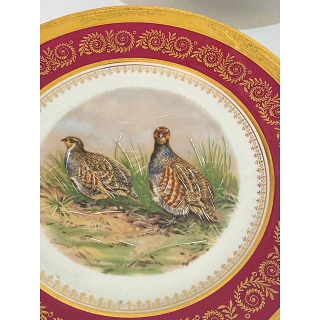 1960s Animal Pattern Porcelain and Ceramic Plates, France, 1960s, Set of 2 For Sale - Image 5 of 8