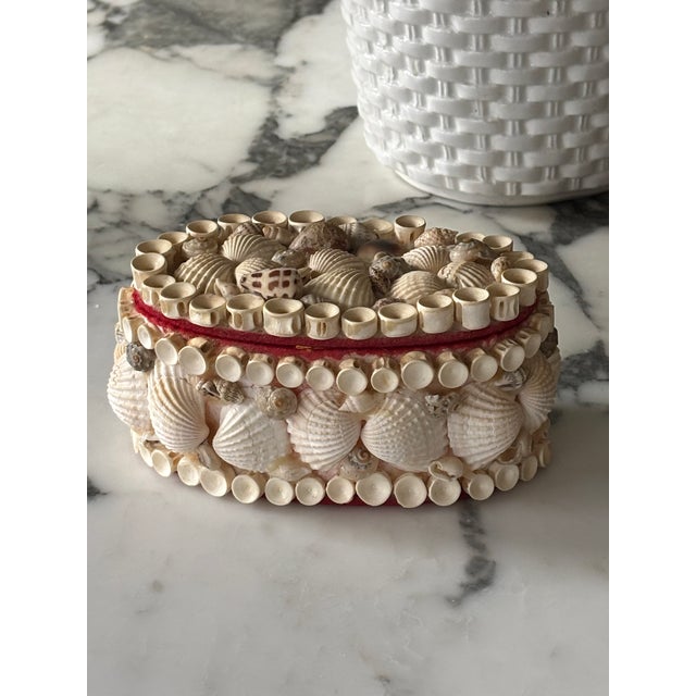 Vintage Palm Beach Style Oval Encrusted Shell Box For Sale - Image 11 of 16