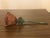 Late 20th Century Brutalist Cast Iron Rose Sculpture For Sale In New York - Image 6 of 11