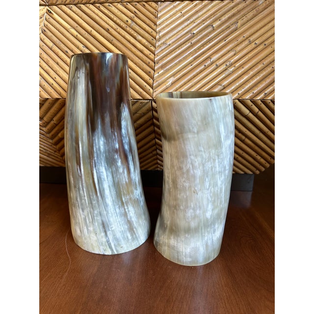 Vintage Italian Natural Horn Vase -Extra Large For Sale - Image 11 of 12