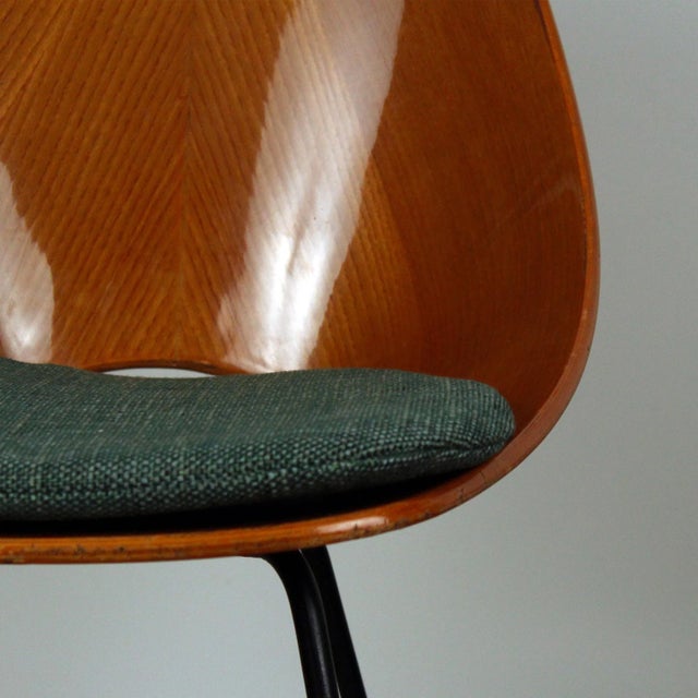 Medea Chairs in Beechwood with Emerald Green Cushions by Vittorio Nobili for Fratelli Tagliabue, Italy, 1956, Set of 6 For Sale - Image 16 of 18