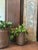 Mid-Century Modern 1970s Robert Maxwell & David Cressey Planter for Earthgender For Sale - Image 3 of 10