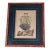 Framed Botanical Engraving Style Print Helichrysum Citrina Fig. 242 Vintage Decor For Sale