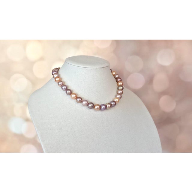 Early 21st Century Genuine Freshwater Edison Pearl Necklace With 14k Gold Clasp For Sale - Image 5 of 11