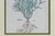 Wood Antique Trio of Framed Double-Print Renaissance Botanical Wall Art For Sale - Image 7 of 18