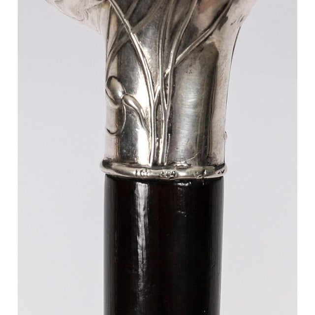 Antique French Art Nouveau Silver Topped Walking Cane Stick, 1890s For Sale - Image 12 of 15
