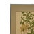 Illustration Vintage Botanical Tiger Lily Illustration by Wendy Wheeler, Signed, Framed Floral Art. For Sale - Image 3 of 10