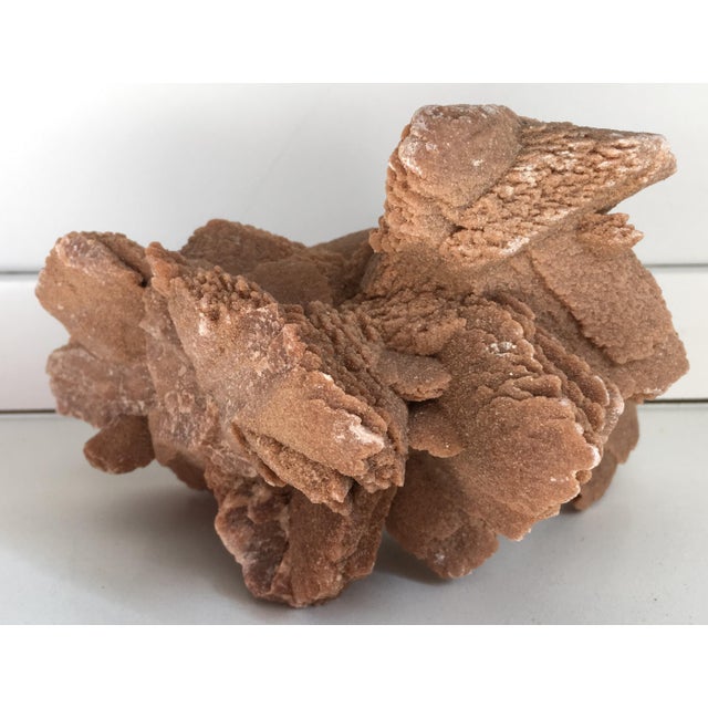 Desert Rose Selenite Crystal Formation For Sale - Image 4 of 7