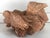 Desert Rose Selenite Crystal Formation For Sale - Image 4 of 7