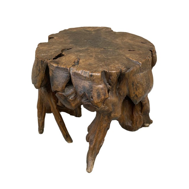 18th Century 18th Century Chinese Qing Dynasty Scholar's Rootwood Stool For Sale - Image 5 of 13