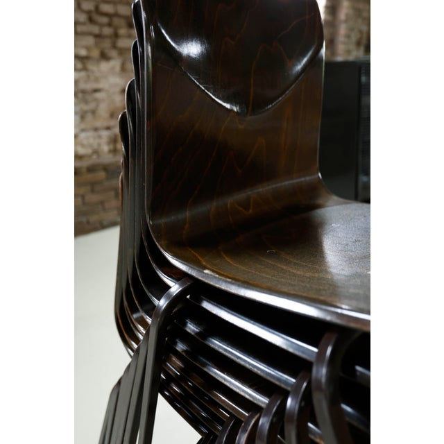 1960s S23 Chair from Galvanitas, Netherlands, 1960s For Sale - Image 5 of 18
