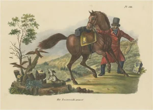 Schinz, Illustration of a Swiss Horse, 1845, Print