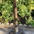 Vintage Bird Bath Aluminum With Iron Filigree Base and Perching Bird Sculpture For Sale - Image 4 of 12