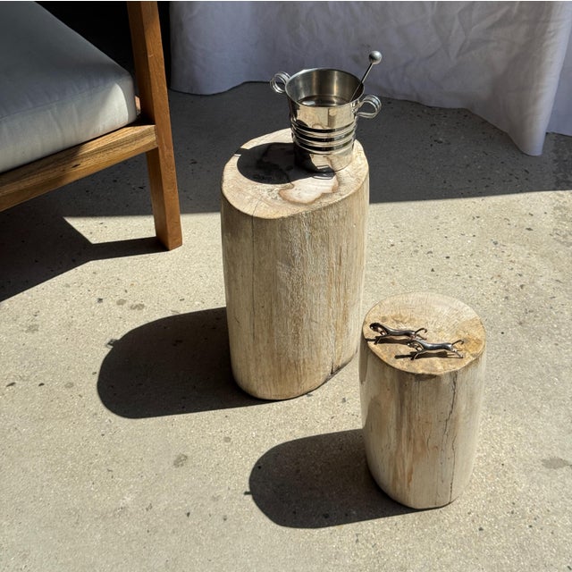 Oval White Petrified Wood Side Table, 1980s For Sale - Image 12 of 18