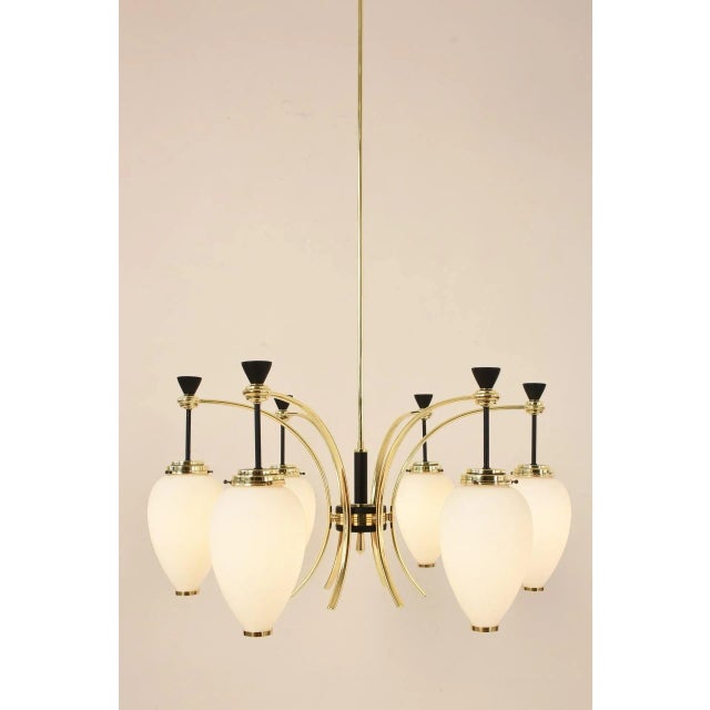 6-Light Chandelier by Bruno Gatta for Stilnovo, 1950s For Sale - Image 13 of 14