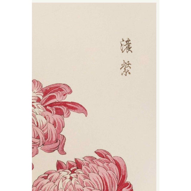 Japanese Pink Chrysanthemums, Vintage Japanese Botanical Art Print, 16" X 24" For Sale - Image 3 of 8