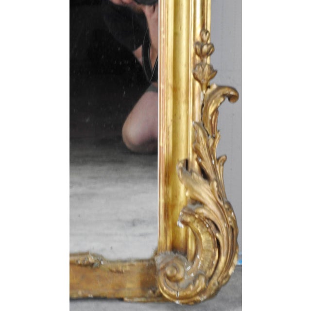 Wood 19th Century French Rococo Mirror For Sale - Image 7 of 11