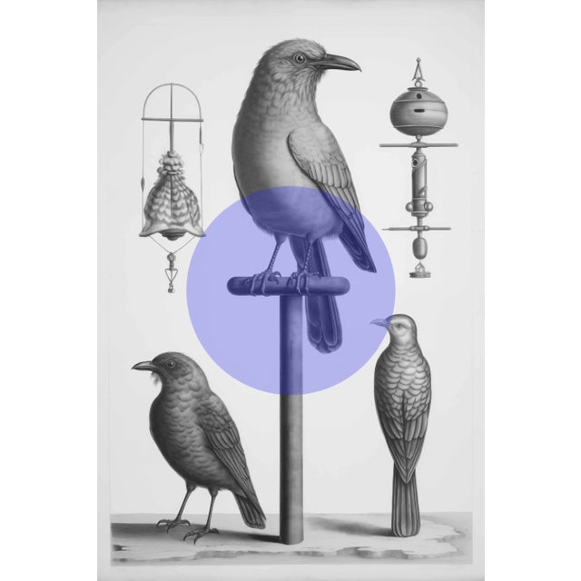 Black Set of 6 - High End Framed Vintage Bird Watercolor Prints With Color Accents For Sale - Image 8 of 8