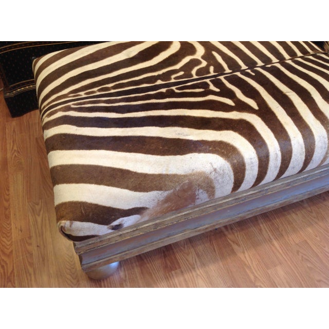 Enormous Zebra Hide Ottoman Chairish