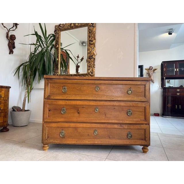 Baroque Chest of Drawers in Pine For Sale - Image 18 of 18