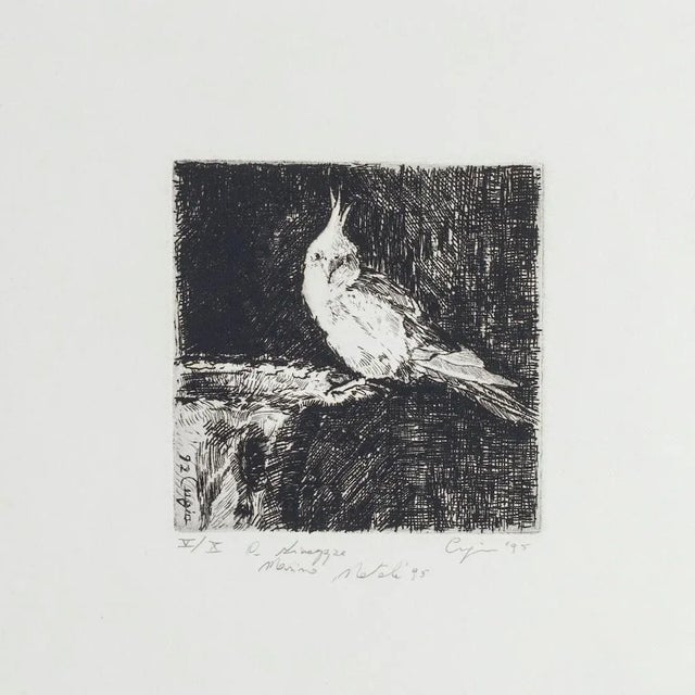 Parrot - Original Etching on Paper by Valerio Cugia - 1995 1995 For Sale - Image 3 of 3