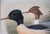 Hand-Colored C1862 Lithograph Pl. 315 Goosander From John Gould's "The Birds of Great Britain" For Sale - Image 4 of 6