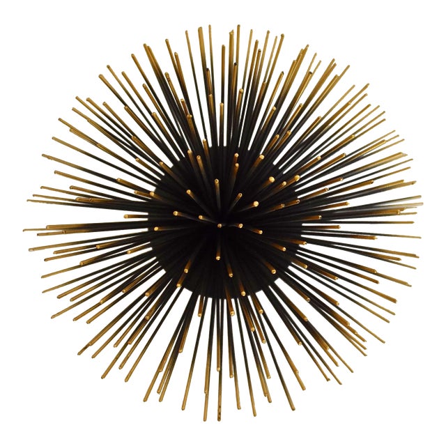 Sea Urchin Wall Decor Chairish