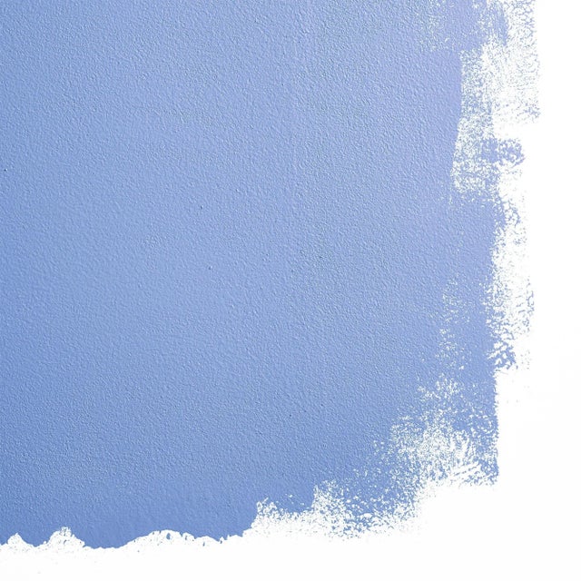 BACKDROP Adhesive Sample Swatch in Stromboli Chess Club (Vibrant Cornflower Blue) For Sale - Image 4 of 5