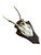 A roe deer trophy with Black Forest antlers on a wood plaque — 10.5"H x 4.5"W x 3.5"D. Classic hunting-lodge and cabin...